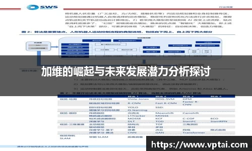 加维的崛起与未来发展潜力分析探讨